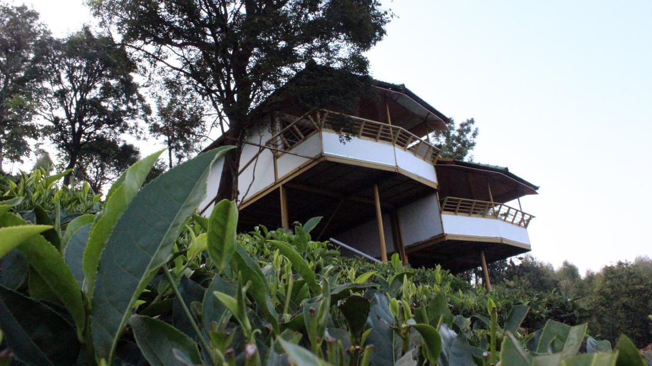 Vythiri Hills Hotel Esterno foto