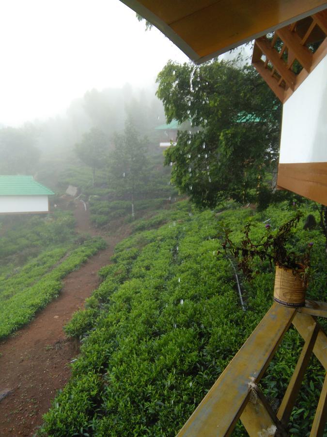 Vythiri Hills Hotel Esterno foto